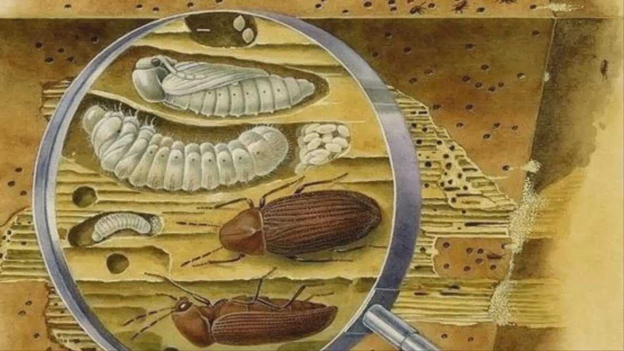 фундамент 2