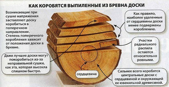 пол 1
