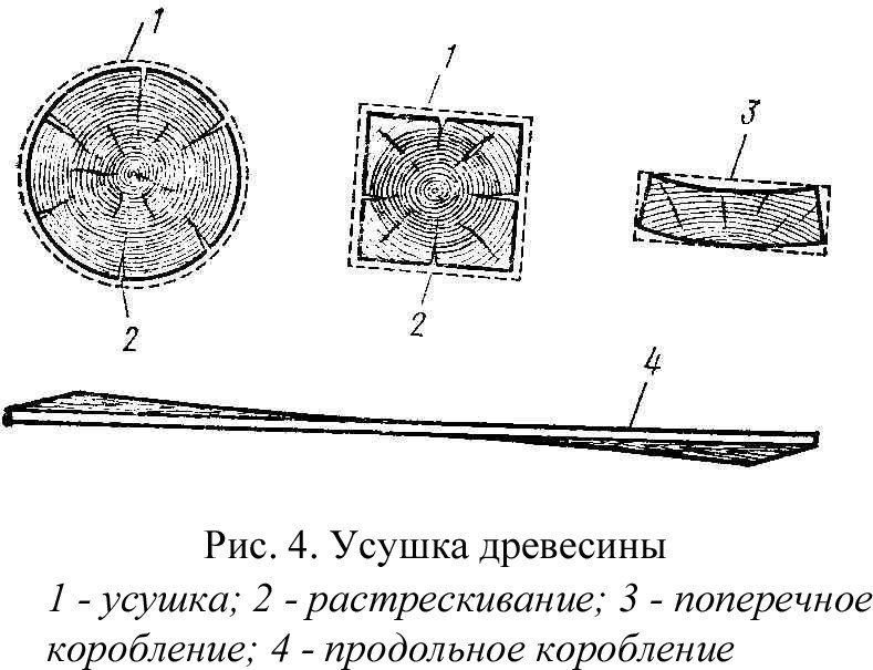 пол 2