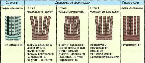 пол 3