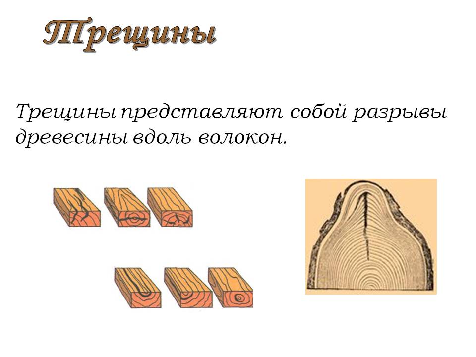 пол 2