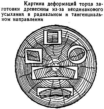 фото номер 8 пол 3